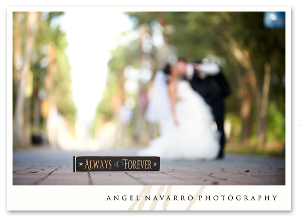 Bride and Groom with Blurry Background