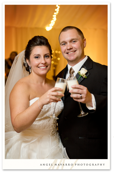 Bride and Groom Toast