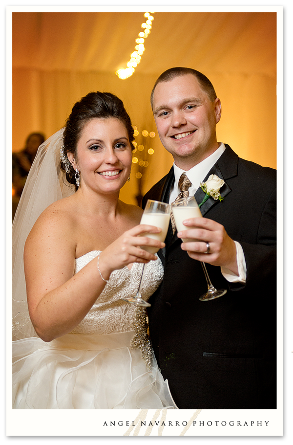 Bride and Groom Toast