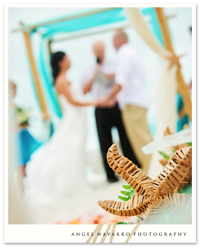 Best Beach Wedding Photography