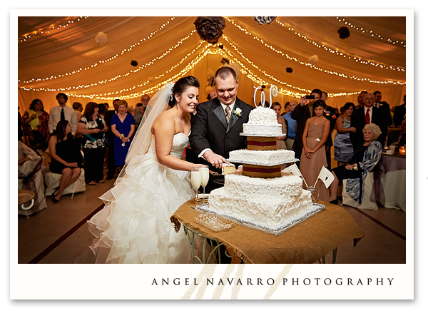 Cutting of the Cake