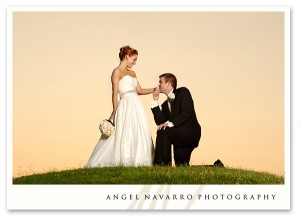 The groom proposes to his bride and pledges his devotion.