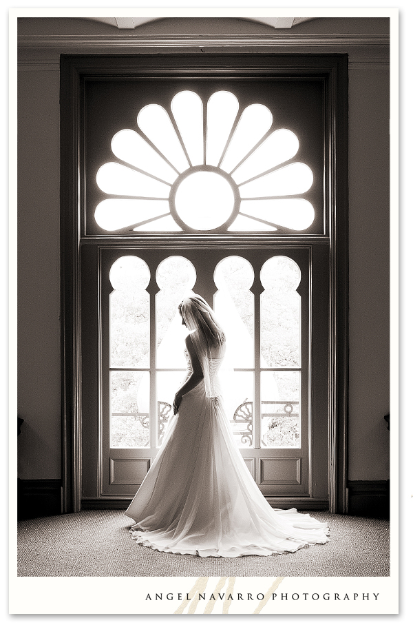 Stunning Bridal Portrait in Tampa