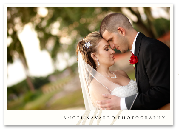 A wedding portrait.