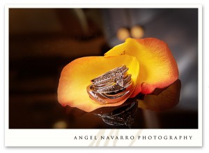 Creative Wedding Photo of Ceremonial Rings