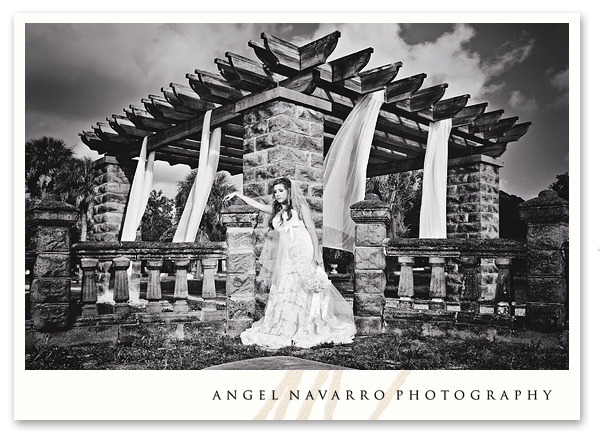 Radical bridal portrait Sarasota wedding photographers